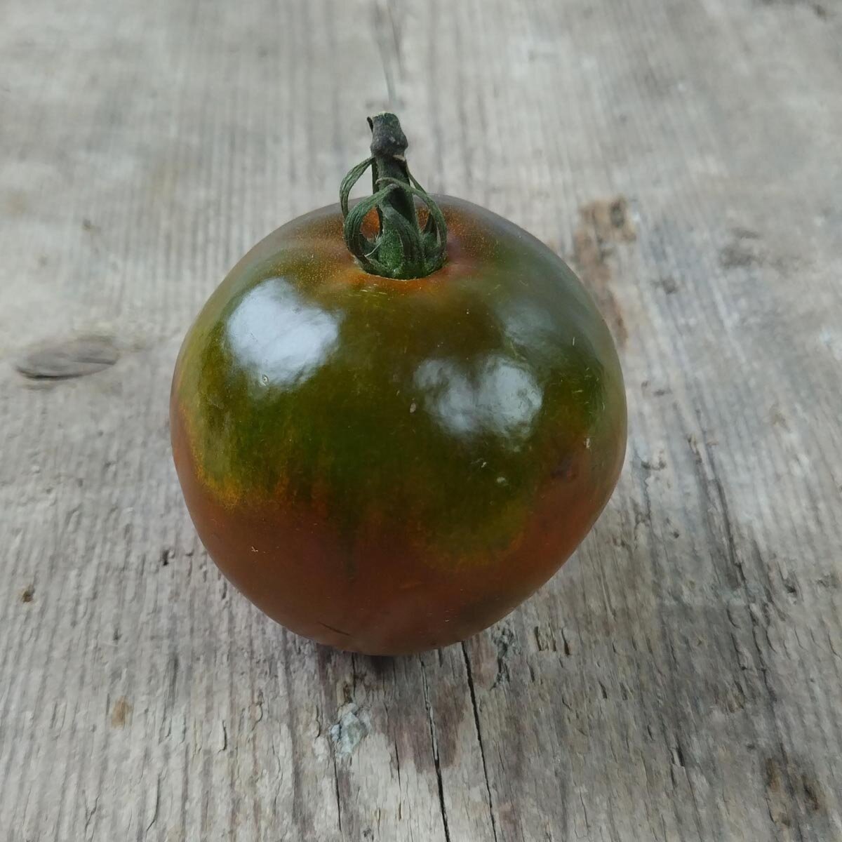 Tomate Schwarze Krim Solanum Lycopersicum