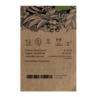 Havanna Tabak (Nicotiana tabacum) Samen
