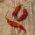 Bhut Jolokia Chili (Capsicum chinense) Samen